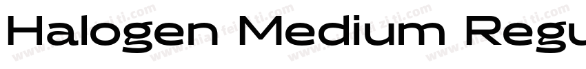 Halogen Medium Regu字体转换